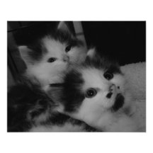 June 2013 - B&W Art Photo