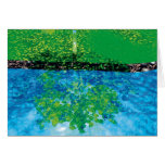 June - reflections of a crystal tree cards