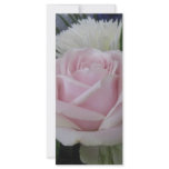 june rose rack cards