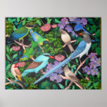 Jungle Birds of Asia posters
