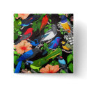 Jungle Birds of Mexico buttons