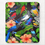 Jungle Birds of Mexico mousepads