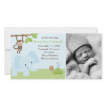 "Jungle Friends"  Birth Announcements photo cards