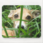 Jungle Iggy mousepads