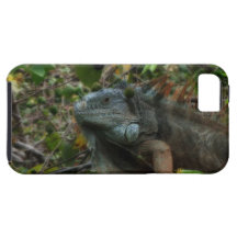 Jungle Iguana iPhone 5 Cover