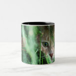 Jungle Legend Coffee Mug