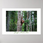Jungle Movie Star Poster
