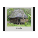 Jungle Postales