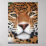 Jungle Queen - Jaguar posters