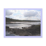 Jungle River postcards
