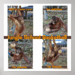 Jungle School Basketball posters