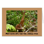 Jungle Spa card