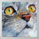 Junior the Cat posters