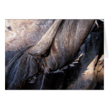 Juniper Greeting Card