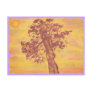 juniper tree sunset postcard
