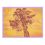 juniper tree sunset postcard