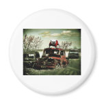 Junkyard UGA magnets