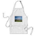 Juno Beach Pier Aprons