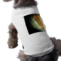Jupiter Close-Up Dog Clothing