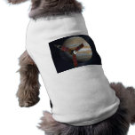 Jupiter Probe pet clothing