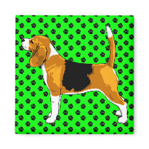 Just a Beagle