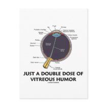 Just A Double Dose Of Vitreous Humour (Eye Anatomy