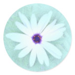 Just a flower stickers