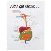 Just A Gut Feeling... (Digestive System Humour)