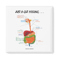 Just A Gut Feeling... (Digestive System Humour)