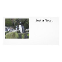 Just a Note Picture Card