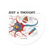 Just A Thought... (Neuron / Synapse) Stickers