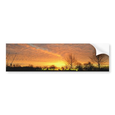 . . . Just Arrived Or Just Going? Bumper Sticker by Stronsy