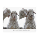 Just Be Yourself Goats postcards