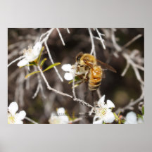 'Just Bee Yourself' Print