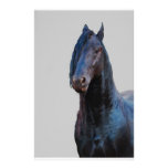 Just being a horse customized stationery