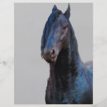 Just being a horse personalised flyer