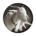 Just Billy Refrigerator Magnet
