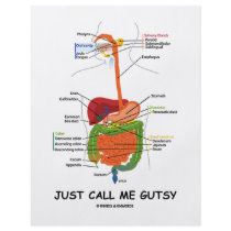 Just Call Me Gutsy (Digestive System Humour)