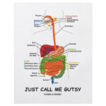 Just Call Me Gutsy (Digestive System Humour) flyers