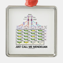 Just Call Me Mendelian (Punnett Square Genetics) Ornaments