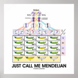 Just Call Me Mendelian (Punnett Square Genetics) Poster