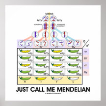 Just Call Me Mendelian (Punnett Square Genetics) Poster