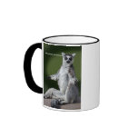 Just Chill Mug