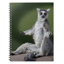 Just Chill Notebook