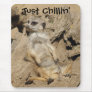Just Chillin' Meerkat Photo Mouse Pad