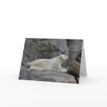 Just Chilling after a Cool Dip Polar Bear Card