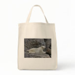 Just Chilling After Cool Dip Polar Bear Canvas Bag