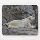 Just Chilling After Cool Dip Polar Bear Mousepads