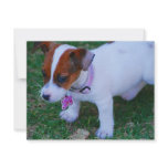 Just Cute invitations