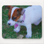 Just Cute mousepads